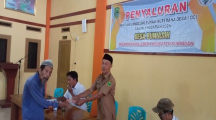 BLT bulan ke 12
